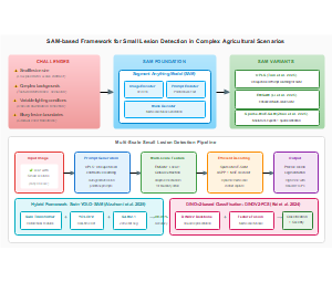 基于SAM（Segment Anything Model）框架在复杂农业场景下的小病变检测