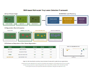 基于SAM的多尺度微小病变检测框架