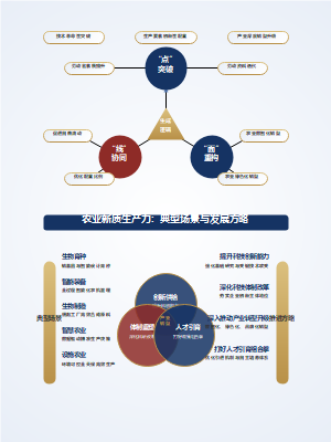 农业新质生产力：典型场景与发展方略