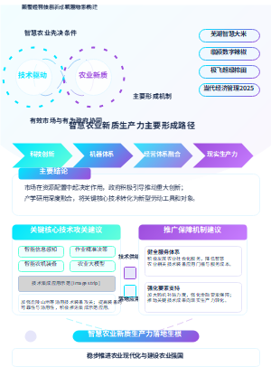智慧农业新质生产力主要形成路径