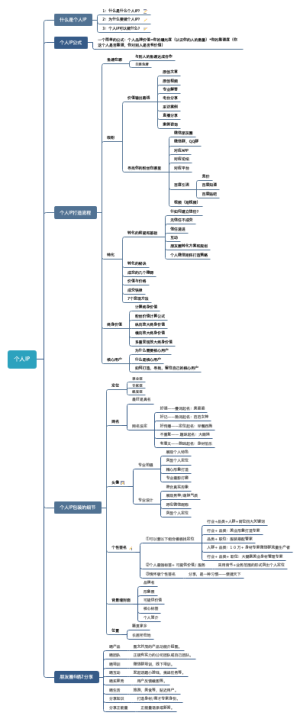 互联网个人IP打造