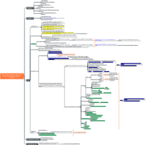 Key points for production and