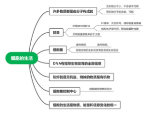 特殊三角形思维导图