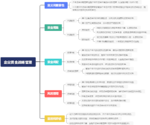 企业资金战略管理