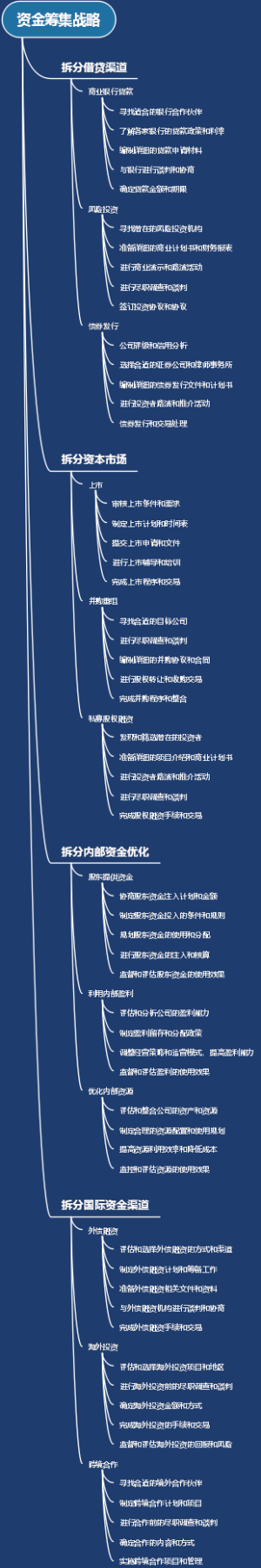 资金筹集战略