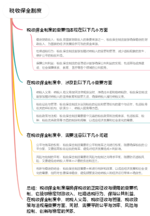 税收保全制度