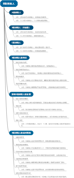 B级纳税人