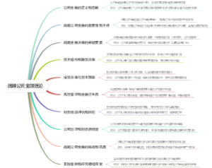 战略公司金融理论