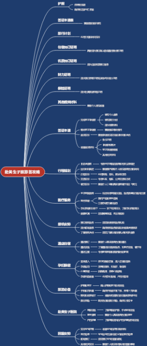 赴美生子旅游签攻略
