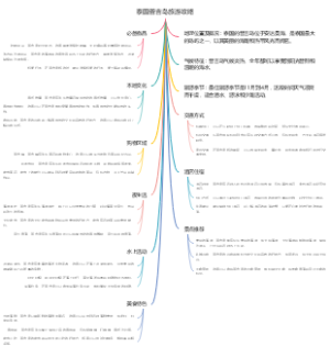 泰国普吉岛旅游攻略
