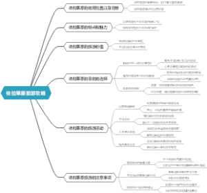 依拉草原旅游攻略