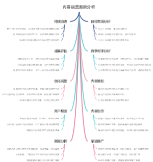 内容运营案例分析