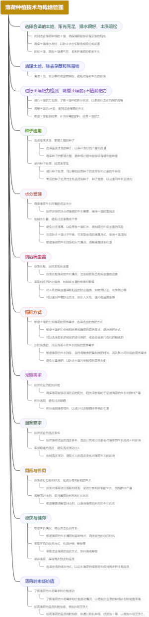 薄荷种植技术与栽培管理