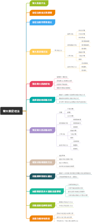 臀大肌定位法