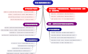 骨盆底解剖结构简介