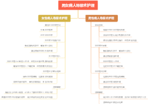 男女病人导尿术护理