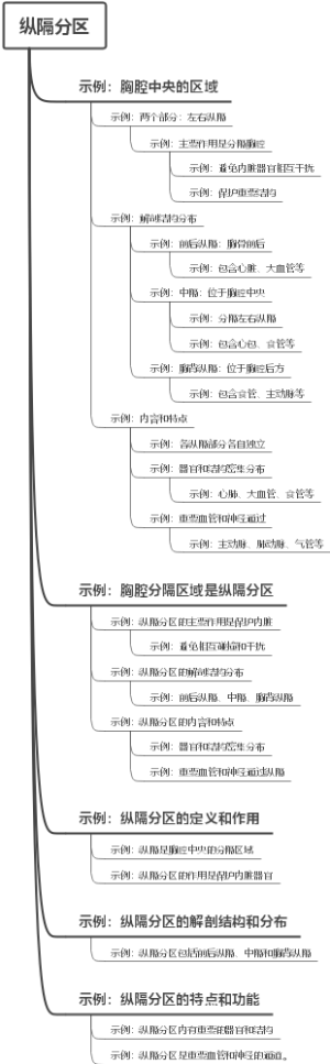 纵隔分区