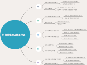 矿物质生理功能是什么？