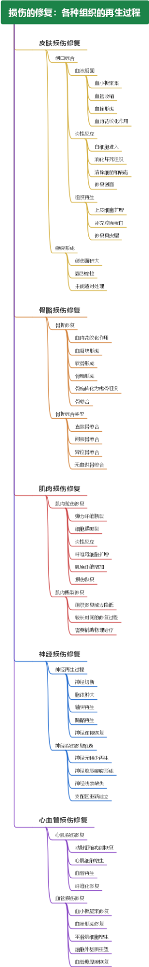 损伤的修复：各种组织的再生过程