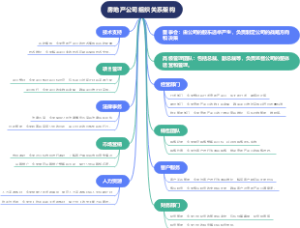 房地产公司组织关系架构
