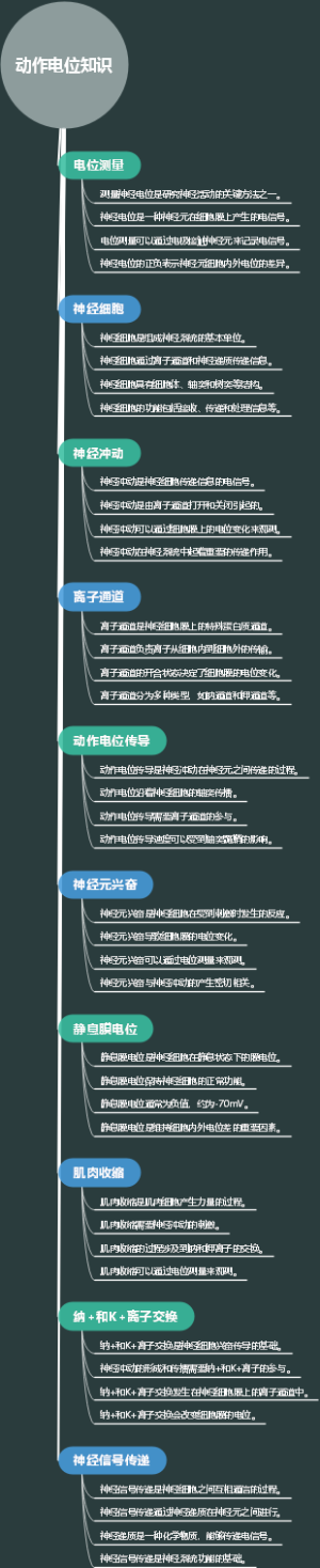 动作电位知识
