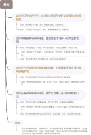 紫杉