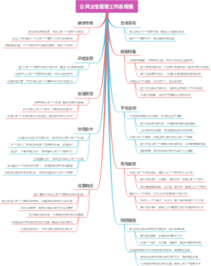 公共卫生管理工作流程图