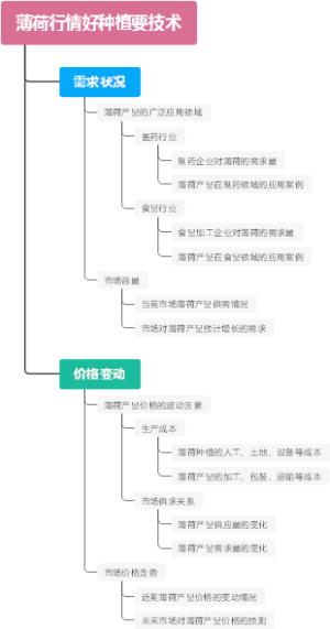 薄荷行情好种植要技术
