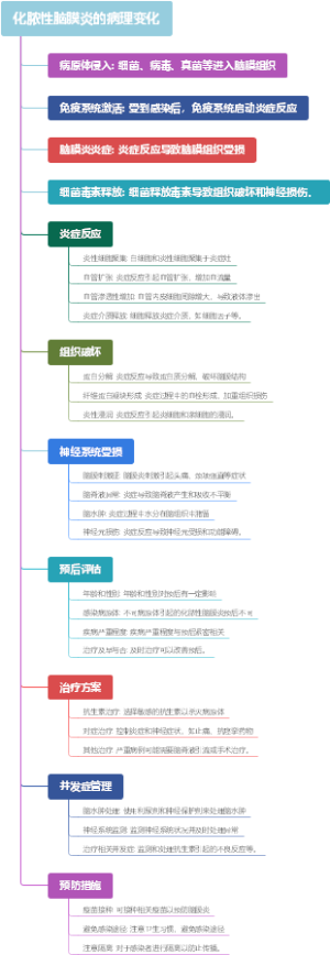 化脓性脑膜炎的病理变化