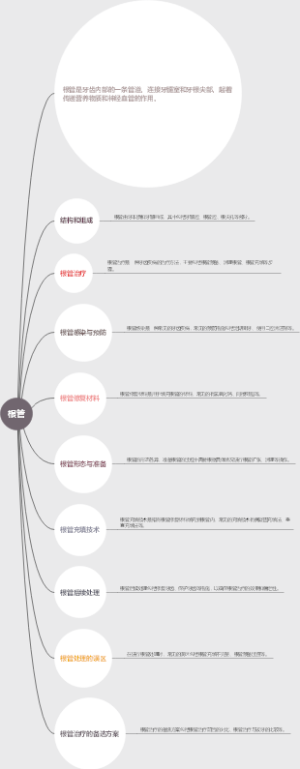 根管