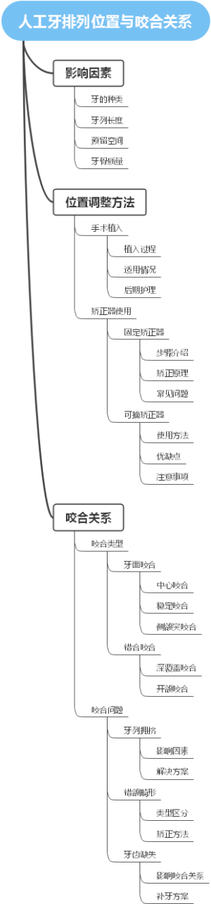 人工牙排列位置与咬合关系