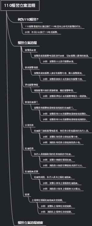 110报警立案流程