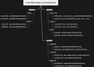 计算机等级考试知识点软件测试技术