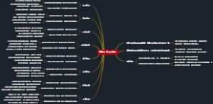 董事会表决的事项