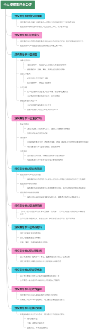 个人授权委托书公证