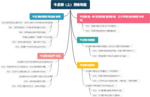 牛皮癣（上）思维导图