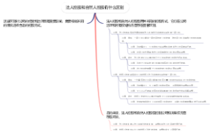 法人控股和自然人控股有什么区别