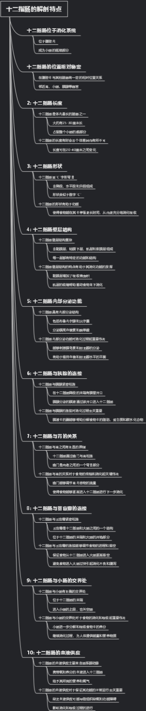 十二指肠的解剖特点