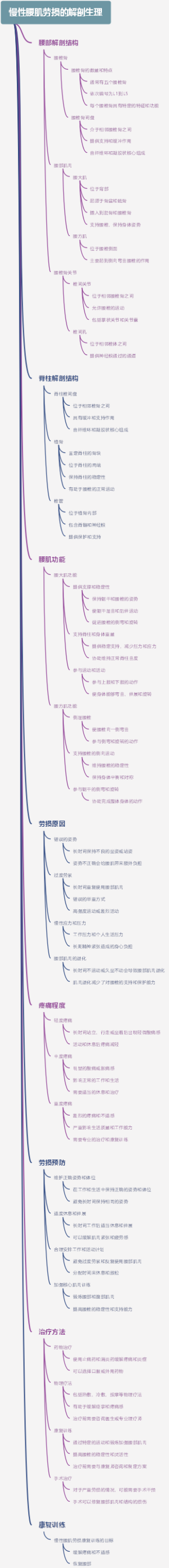 慢性腰肌劳损的解剖生理