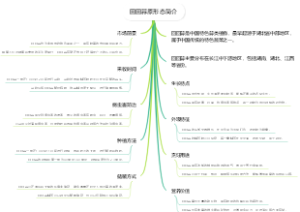 回回蒜原形态简介