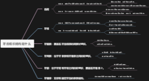 牙齿组织结构是什么