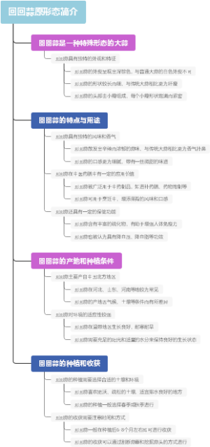 回回蒜原形态简介