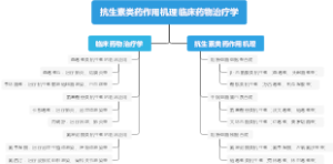 ​抗生素类药作用机理临床药物治疗学