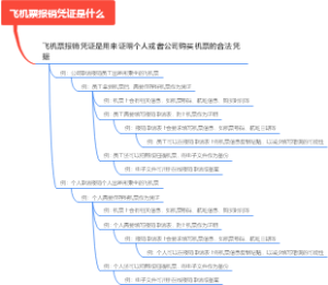 飞机票报销凭证是什么