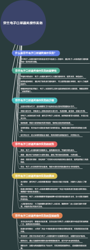 芬兰电子口岸通关操作实务