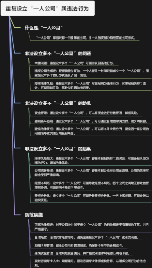 重复设立“一人公司”属违法行为