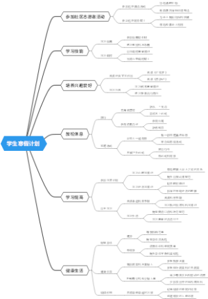 学生寒假计划