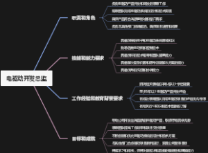 电驱动开发总监