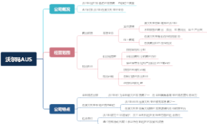 沃尔玛AUS