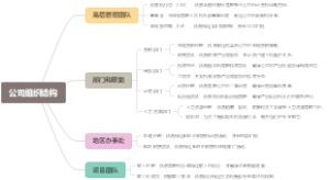 公司组织结构